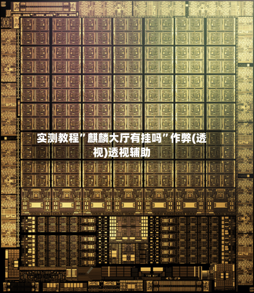 实测教程	”麒麟大厅有挂吗”作弊(透视)透视辅助-第2张图片