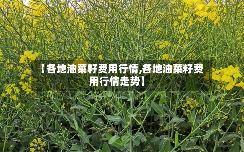 【各地油菜籽费用行情,各地油菜籽费用行情走势】-第2张图片