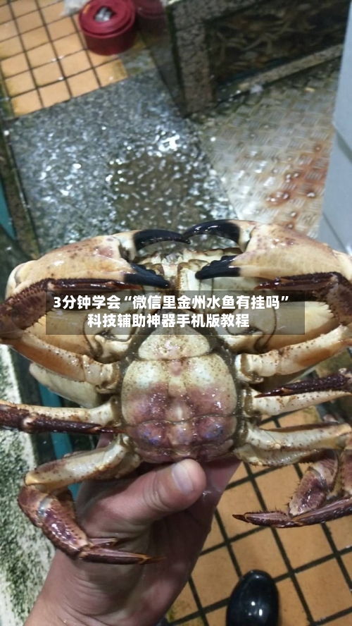 3分钟学会“微信里金州水鱼有挂吗”科技辅助神器手机版教程-第2张图片