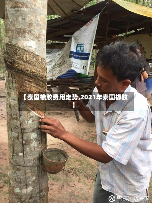 【泰国橡胶费用走势,2021年泰国橡胶】-第2张图片