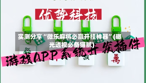 实测分享“微乐麻将必赢开挂神器	”(曝光透视必备猫腻)-第3张图片