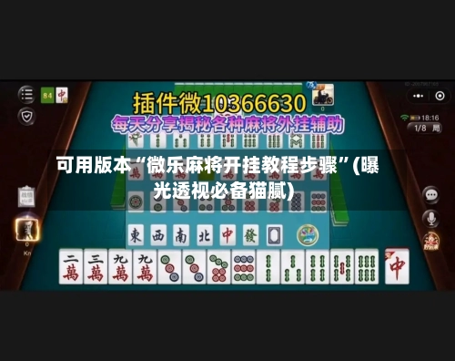 可用版本“微乐麻将开挂教程步骤”(曝光透视必备猫腻)-第2张图片