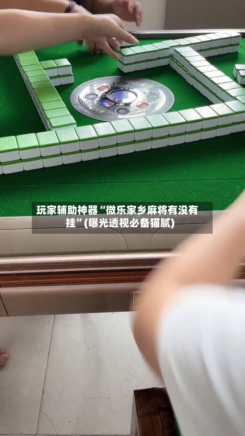 玩家辅助神器“微乐家乡麻将有没有挂”(曝光透视必备猫腻)-第2张图片