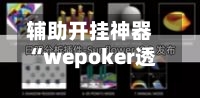 辅助开挂神器“wepoker透视挂付款保证金”详细分享装挂步骤教程-第2张图片