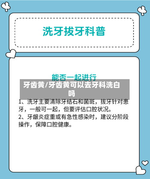牙齿黄/牙齿黄可以去牙科洗白吗