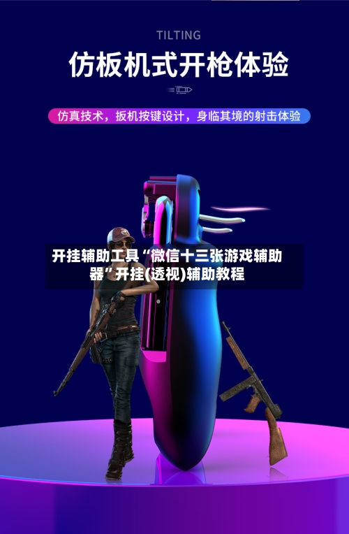 开挂辅助工具“微信十三张游戏辅助器”开挂(透视)辅助教程-第2张图片