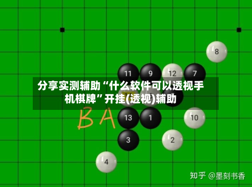 分享实测辅助“什么软件可以透视手机棋牌	”开挂(透视)辅助-第2张图片