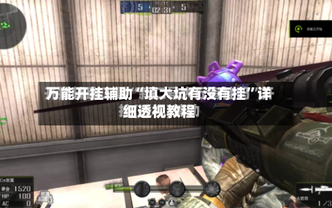 万能开挂辅助“填大坑有没有挂	”详细透视教程-第2张图片