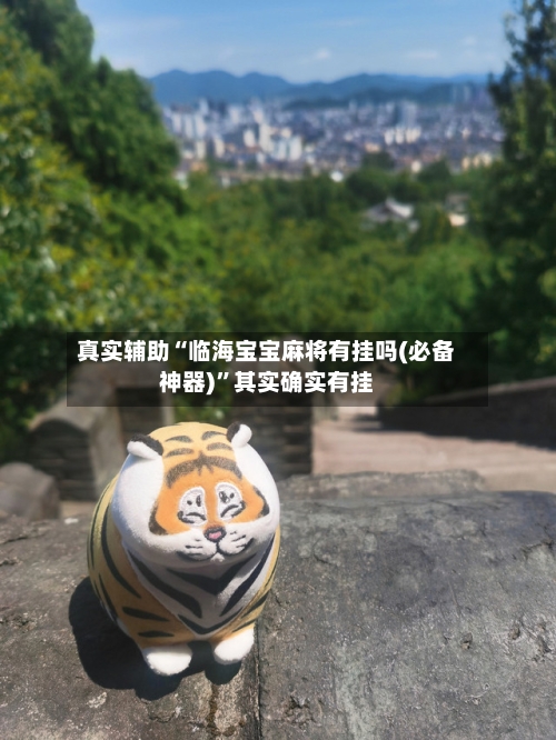 真实辅助“临海宝宝麻将有挂吗(必备神器)”其实确实有挂-第2张图片