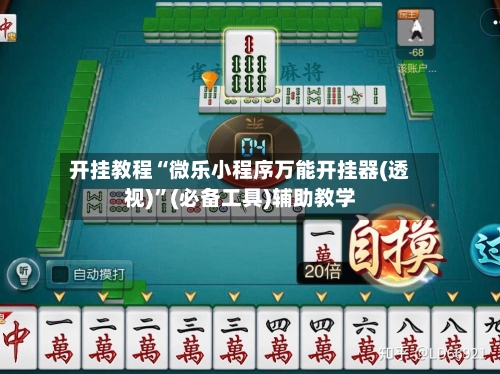 开挂教程“微乐小程序万能开挂器(透视)”(必备工具)辅助教学-第3张图片
