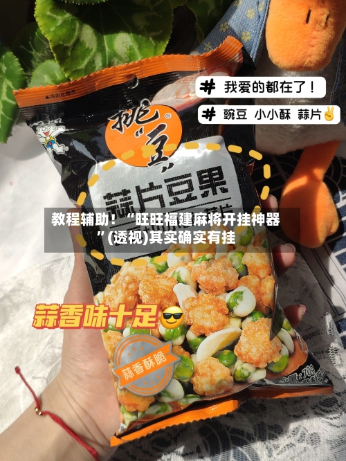 教程辅助！“旺旺福建麻将开挂神器	”(透视)其实确实有挂-第2张图片