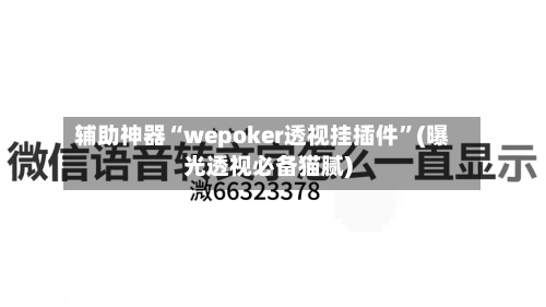 辅助神器“wepoker透视挂插件”(曝光透视必备猫腻)-第2张图片