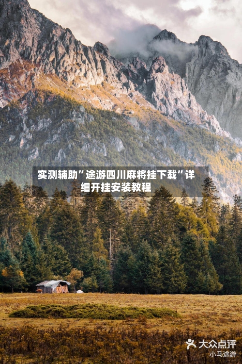 实测辅助	”途游四川麻将挂下载”详细开挂安装教程-第2张图片