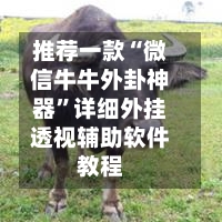 推荐一款“微信牛牛外卦神器”详细外挂透视辅助软件教程-第2张图片