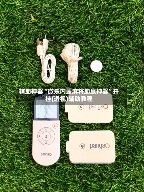 辅助神器“微乐内蒙麻将助赢神器”开挂(透视)辅助教程-第3张图片