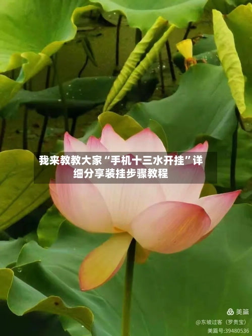 我来教教大家“手机十三水开挂”详细分享装挂步骤教程-第3张图片