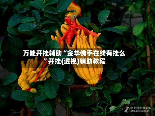 万能开挂辅助“金华佛手在线有挂么”开挂(透视)辅助教程-第2张图片