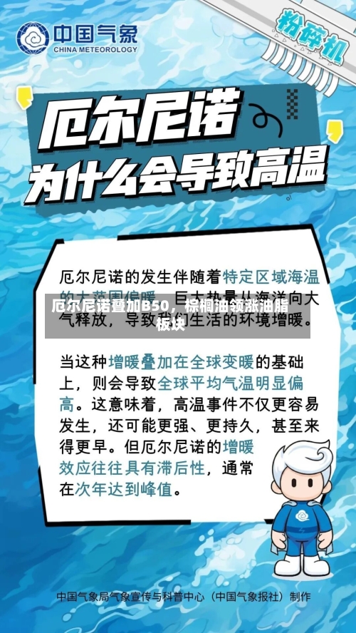 厄尔尼诺叠加B50，棕榈油领涨油脂板块-第2张图片