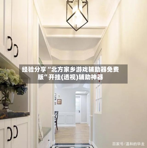 经验分享“北方家乡游戏辅助器免费版”开挂(透视)辅助神器-第3张图片