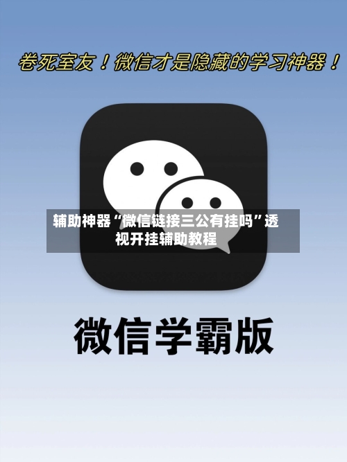 辅助神器“微信链接三公有挂吗”透视开挂辅助教程-第2张图片