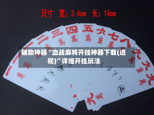 辅助神器“血战麻将开挂神器下载(透视)	”详细开挂玩法-第2张图片