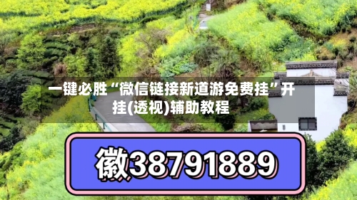 一键必胜“微信链接新道游免费挂”开挂(透视)辅助教程-第3张图片