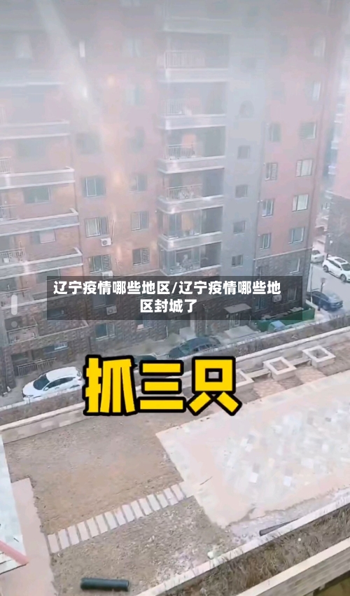 辽宁疫情哪些地区/辽宁疫情哪些地区封城了-第2张图片