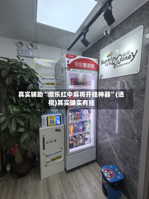 真实辅助“微乐红中麻将开挂神器”(透视)其实确实有挂