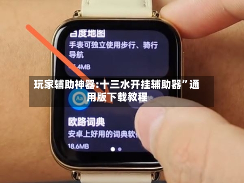 玩家辅助神器:十三水开挂辅助器”通用版下载教程-第2张图片