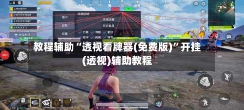 教程辅助“透视看牌器(免费版)”开挂(透视)辅助教程-第2张图片