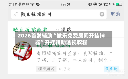 2026首发辅助“微乐免费房间开挂神器”开挂辅助透视教程-第2张图片