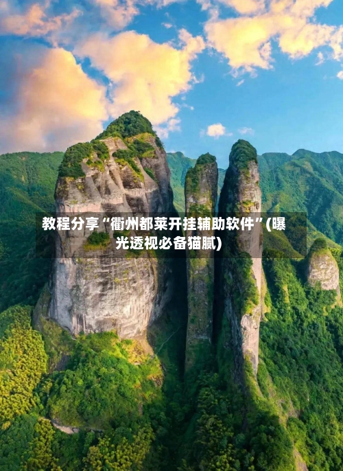 教程分享“衢州都莱开挂辅助软件	”(曝光透视必备猫腻)-第2张图片