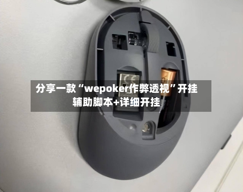 分享一款“wepoker作弊透视	”开挂辅助脚本+详细开挂-第2张图片