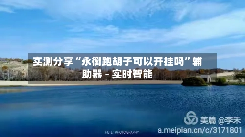 实测分享“永衡跑胡子可以开挂吗”辅助器 - 实时智能-第2张图片