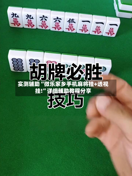 实测辅助“微乐家乡手机麻将挂+透视挂!	”详细辅助教程分享-第3张图片