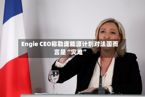 Engie CEO称勒庞能源计划对法国而言是“灾难”-第2张图片