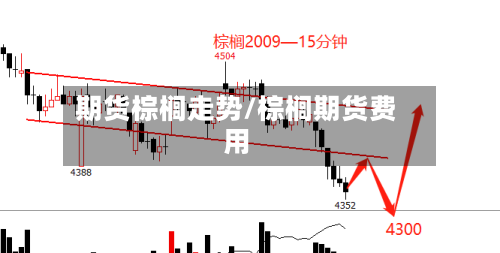 期货棕榈走势/棕榈期货费用