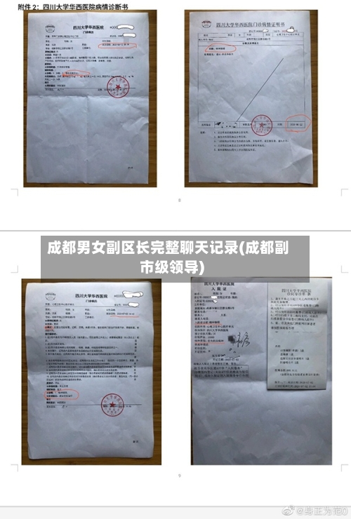 成都男女副区长完整聊天记录(成都副市级领导)