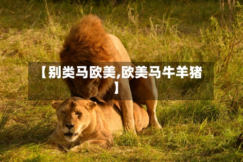 【别类马欧美,欧美马牛羊猪】-第2张图片
