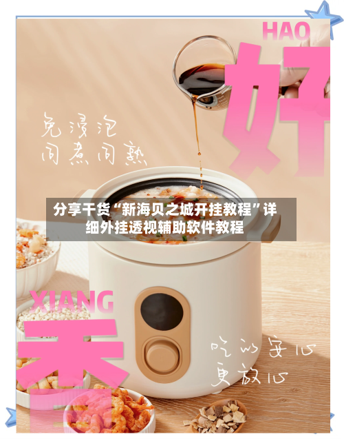 分享干货“新海贝之城开挂教程”详细外挂透视辅助软件教程-第2张图片