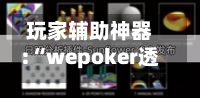玩家辅助神器:“wepoker透视挂的优势”详细分享装挂-第3张图片