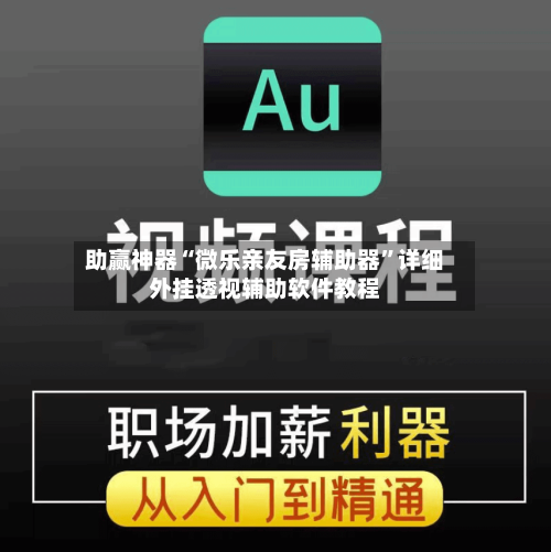 助赢神器“微乐亲友房辅助器”详细外挂透视辅助软件教程-第3张图片