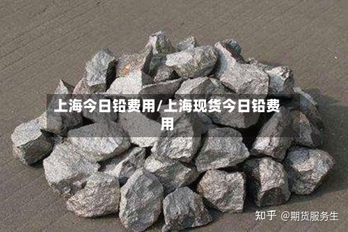 上海今日铅费用/上海现货今日铅费用-第2张图片