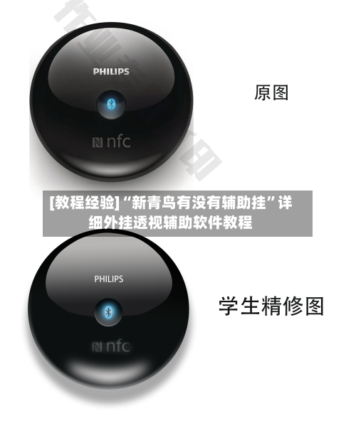 [教程经验]“新青鸟有没有辅助挂”详细外挂透视辅助软件教程-第2张图片