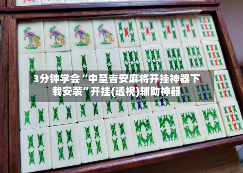 3分钟学会“中至吉安麻将开挂神器下载安装”开挂(透视)辅助神器-第3张图片