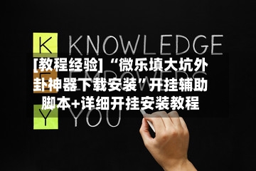 [教程经验] “微乐填大坑外卦神器下载安装”开挂辅助脚本+详细开挂安装教程-第3张图片