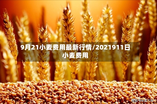 9月21小麦费用最新行情/2021911日小麦费用-第2张图片