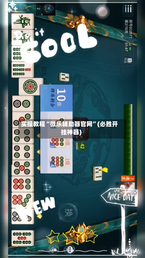 实操教程“微乐辅助器官网”(必胜开挂神器)-第2张图片