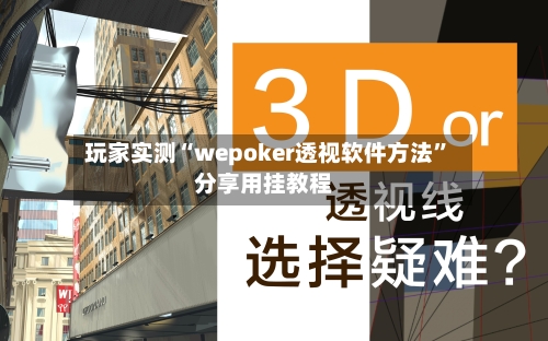 玩家实测“wepoker透视软件方法”分享用挂教程-第3张图片