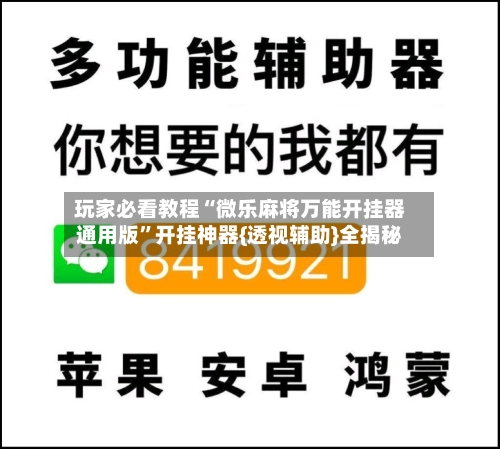 玩家必看教程“微乐麻将万能开挂器通用版	”开挂神器{透视辅助}全揭秘-第2张图片